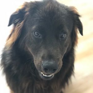 Meet your Posher, Justine